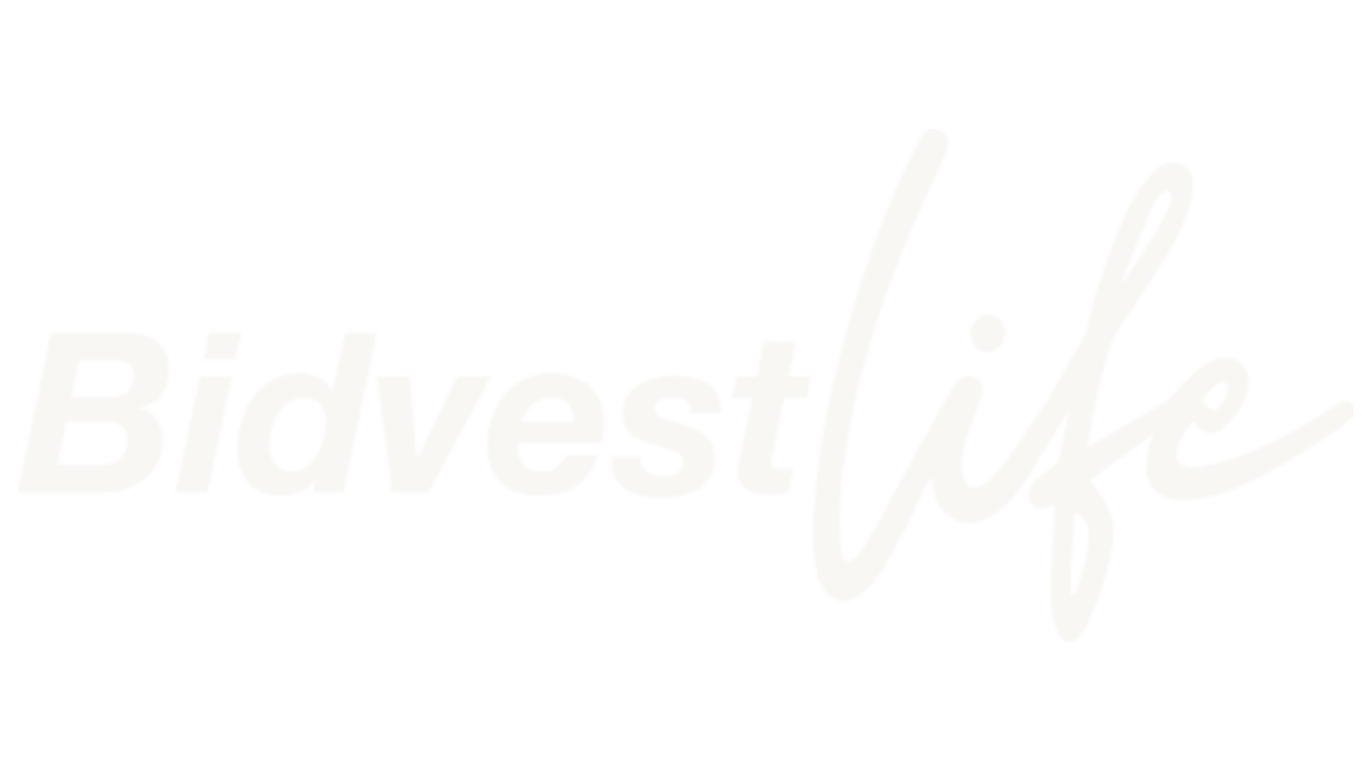 BIDVEST W